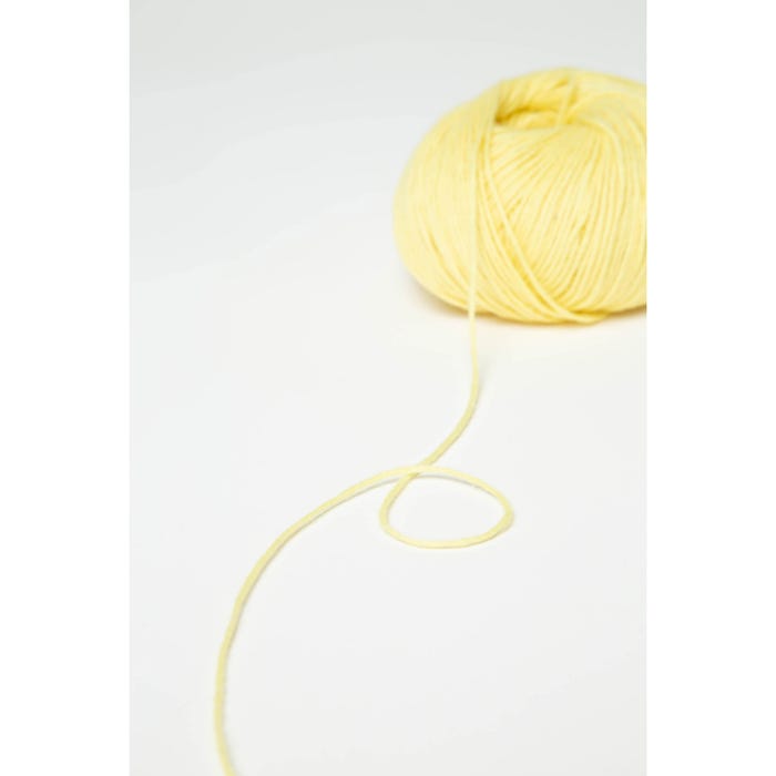 Atelier Veritas-Lily