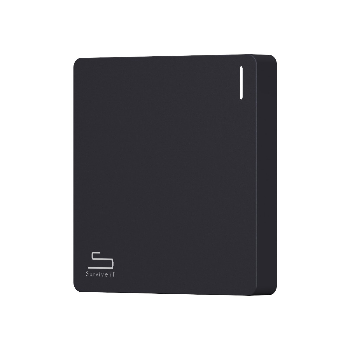 Survive iT City 4000mAh powerbank (grå)