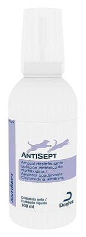 AntiSept Desinfectiespray 100 ml | 10938