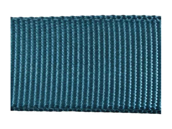 Collier Réglable pour Chien 