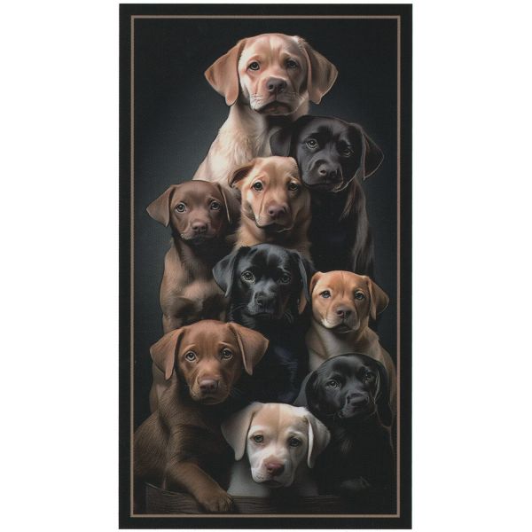 Casa de Praia Toalha de Praia Microfibra Muitos Cães 180 x 100 cm