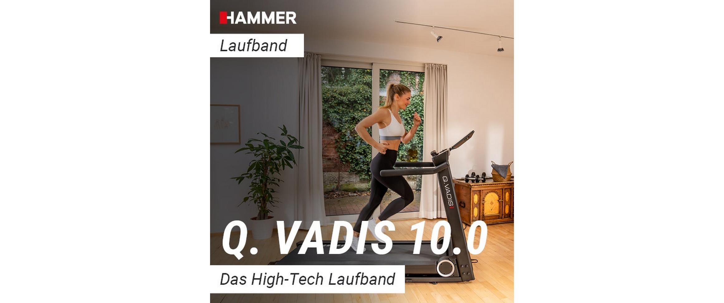 Laufband Q. Vadis 10.0<br>Modernes Laufband mit integriertem Display
