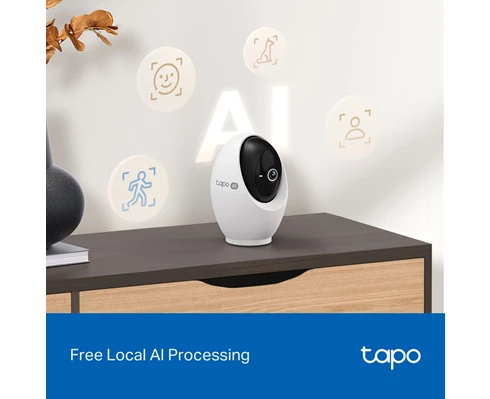 TP-Link Tapo C260