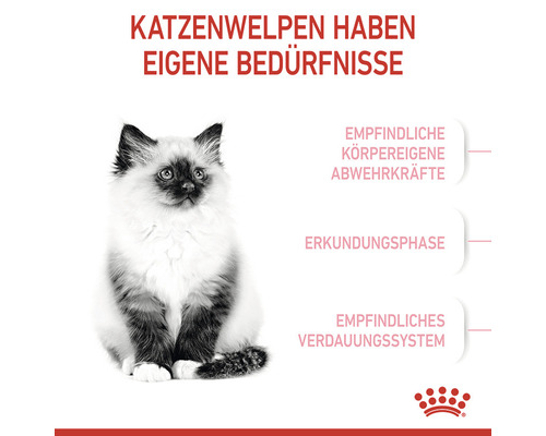 ROYAL CANIN Kitten droog kattenvoer 10 kg