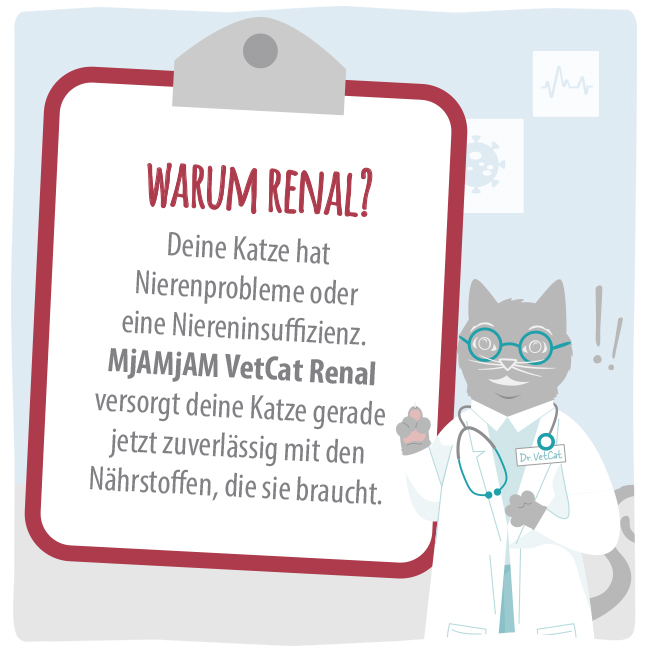 MjAMjAM VetCat - Diät - Niere - Renal - Rind