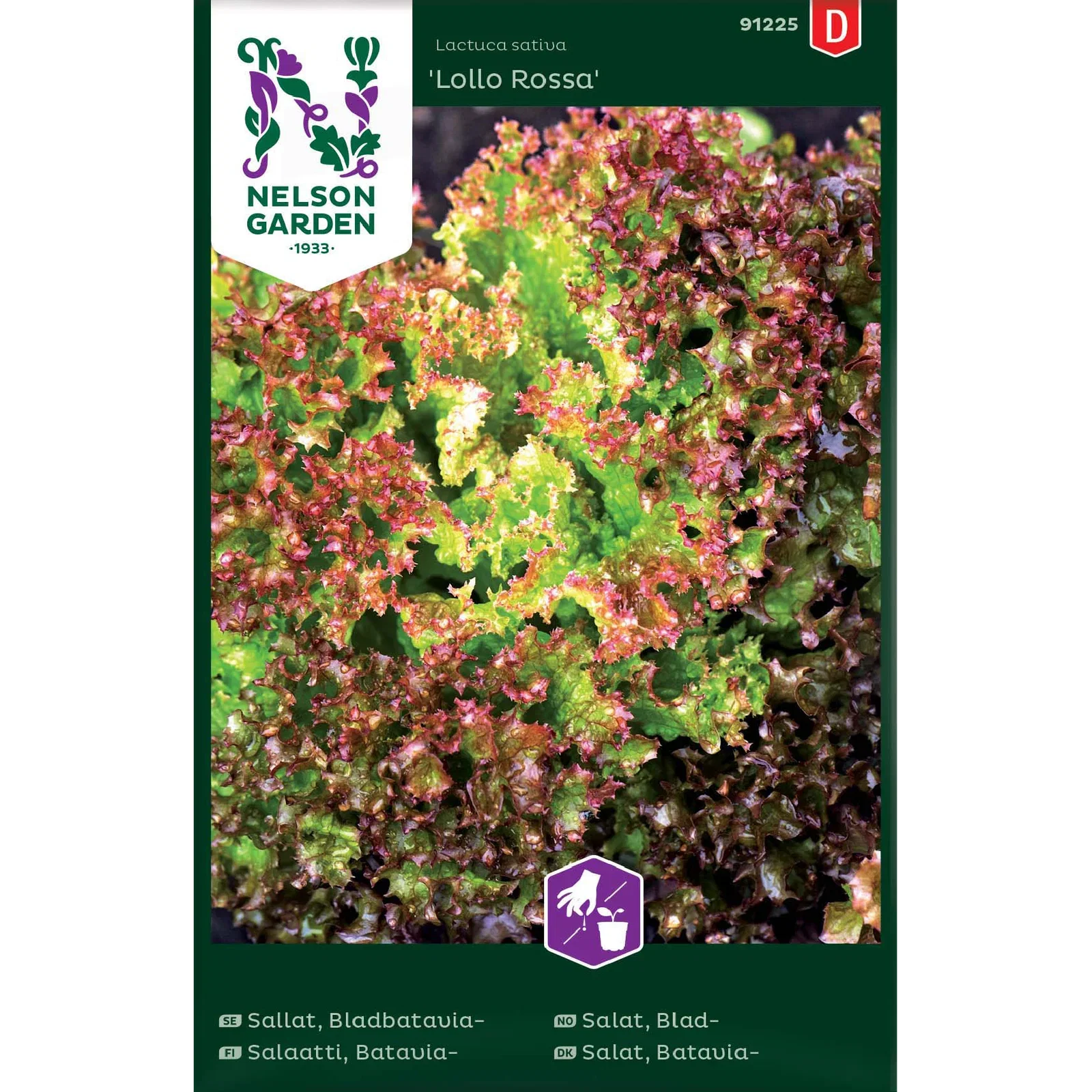 Lactuca sativa 'Lollo Rossa', Bladsalat 'Lollo Rossa'