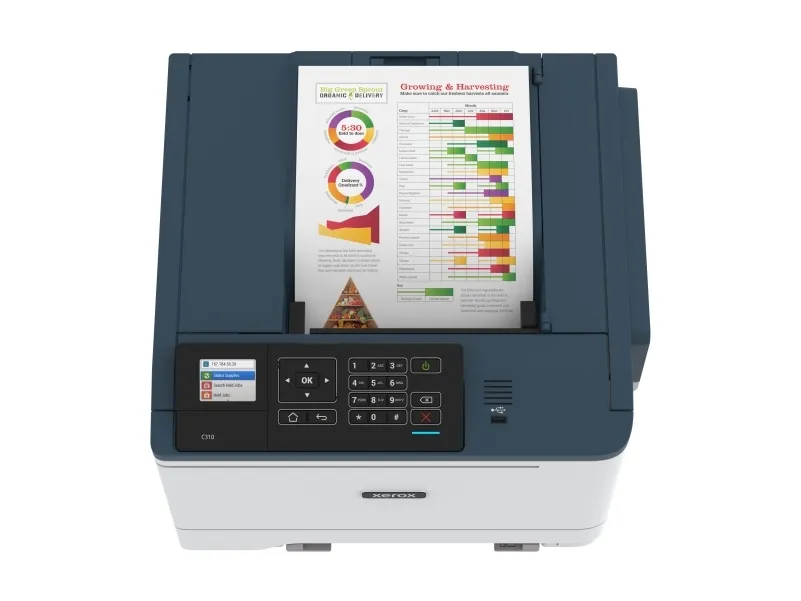 Xerox C310V_DNI - Printer - farve - Duplex - laser - A4/Legal - 1200 x 1200 dpi - op til 33 spm (mono) / op til 33 spm (farve) - kapacitet: 250 ark - USB 2.0, Wi-Fi(n), Gigabit LAN