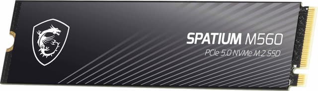 MSI Spatium M560 M.2 intern SSD (2TB)