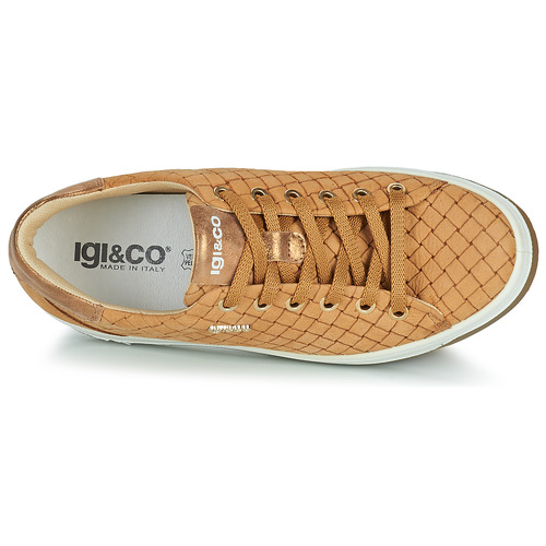 IgI&CO - 1659033 - Camel