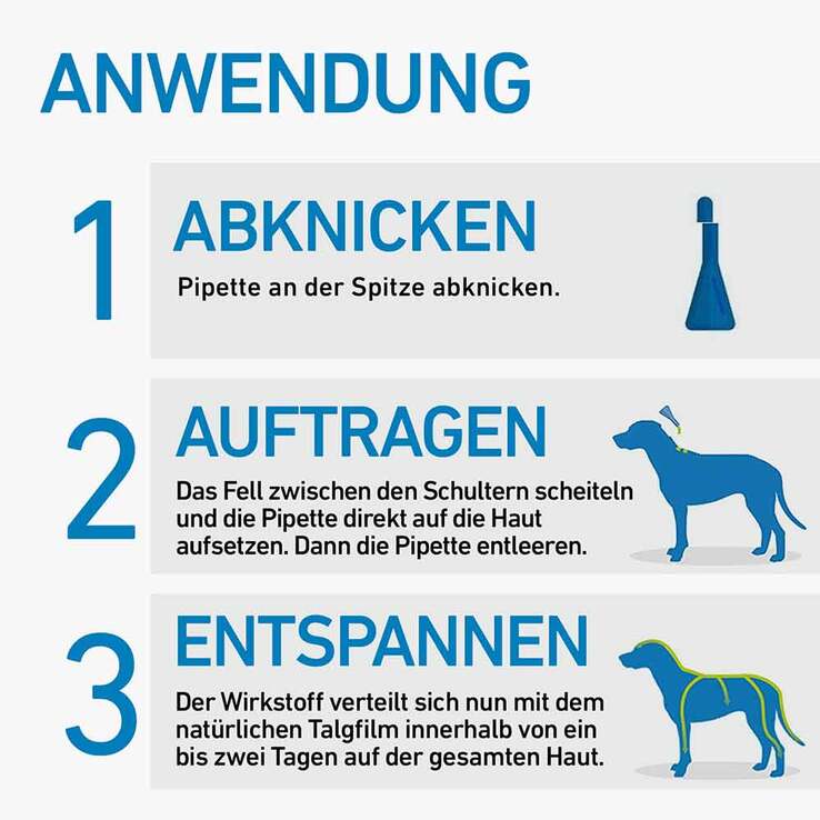 FRONTLINE SPOT ON Hund S Lösung, 3 St