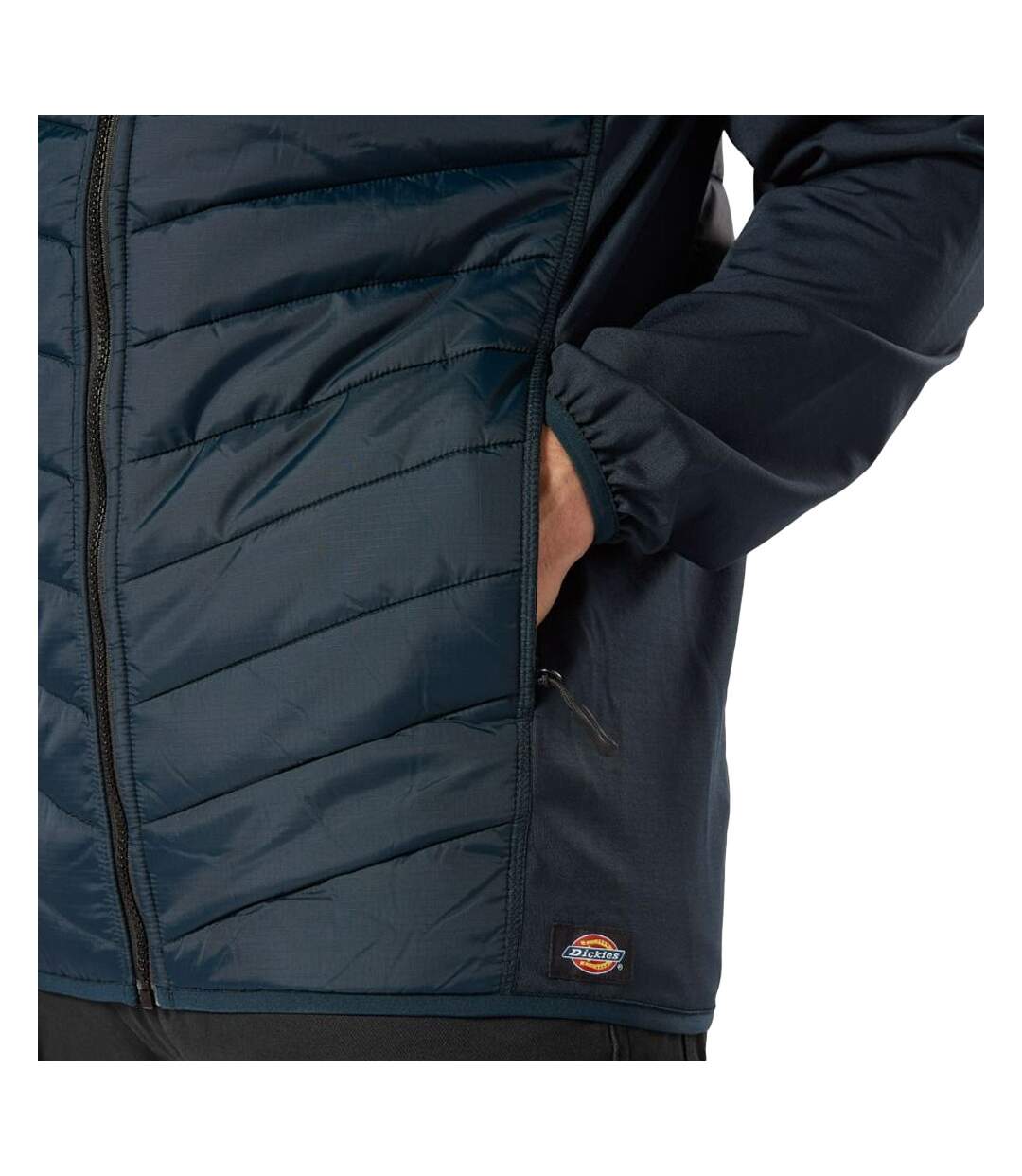 Veste Marine Homme Dickies Gen Hybrid