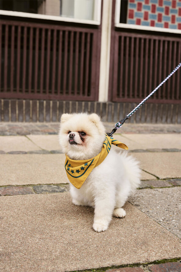 Hay HAY Dogs Scarf-55 x 55-Ochre