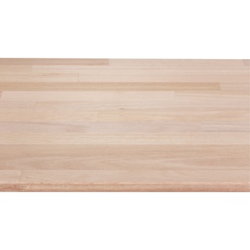 CanDo massief timmerpaneel hardhout 200x50 cm 18 mm