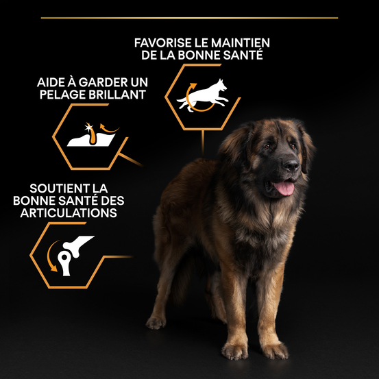 Croquettes chien adulte de grande taille Super Premium - 14 kg