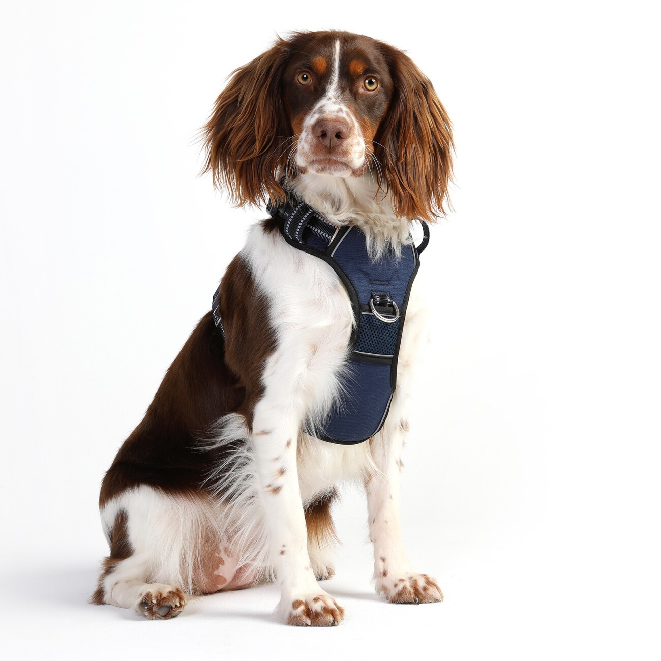 DOOG Neotech Harness NAVY S