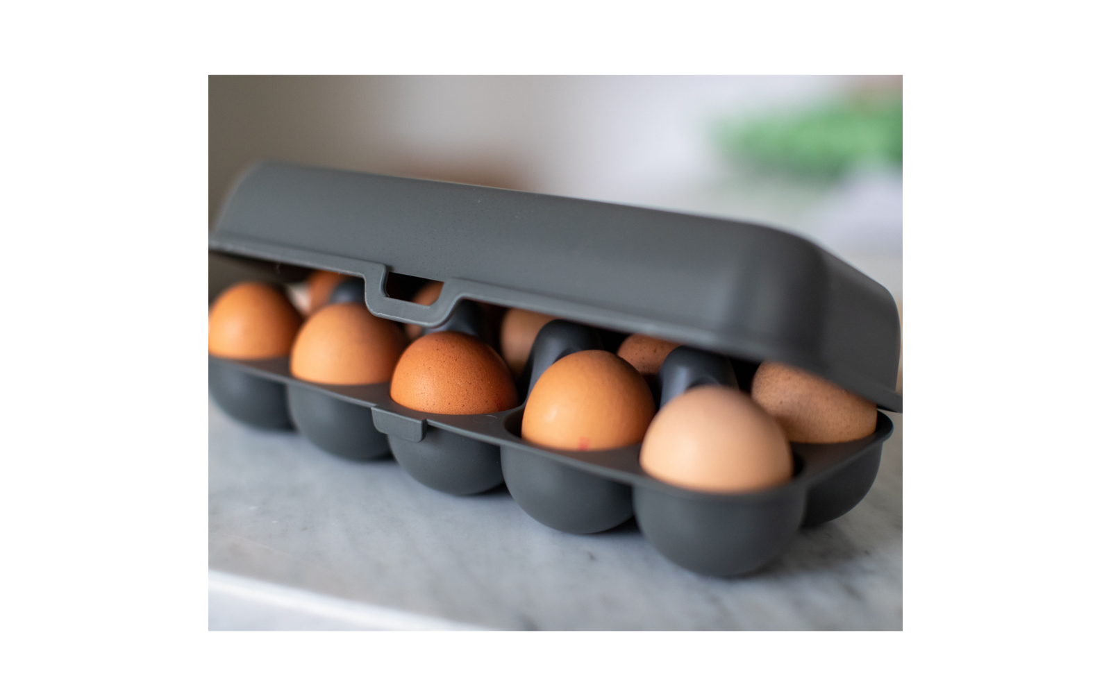 Koziol Eggs to go Eierbox für 10 Eier desert sand