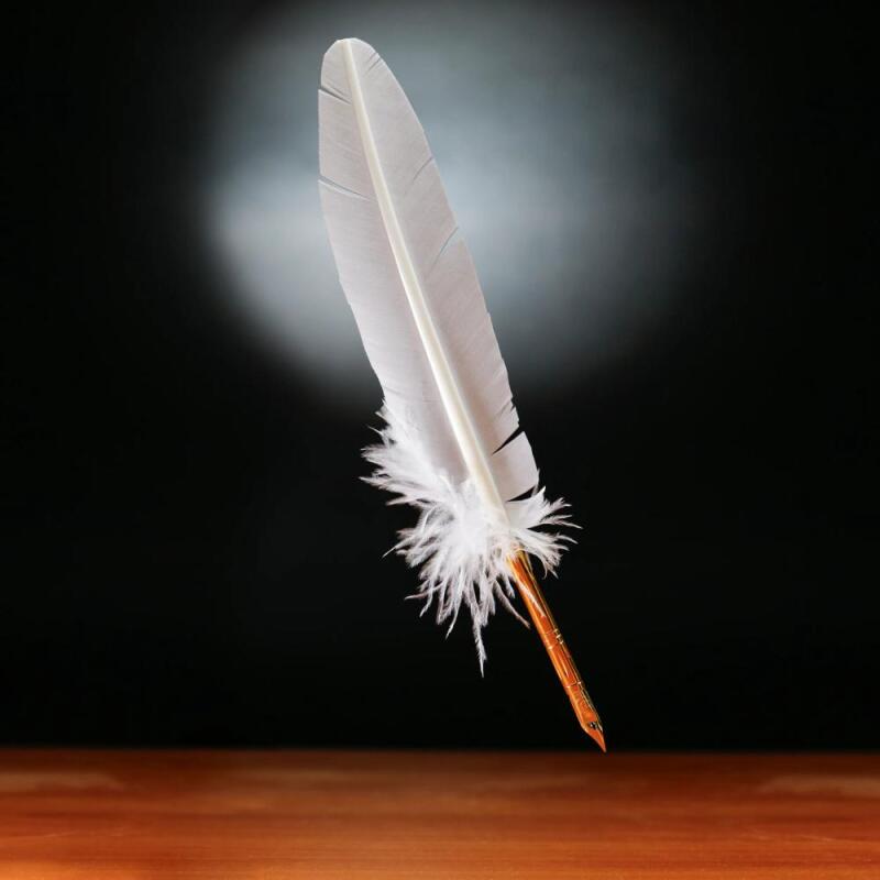 PLUME D'OIE+PLUME METAL SUR BROCH