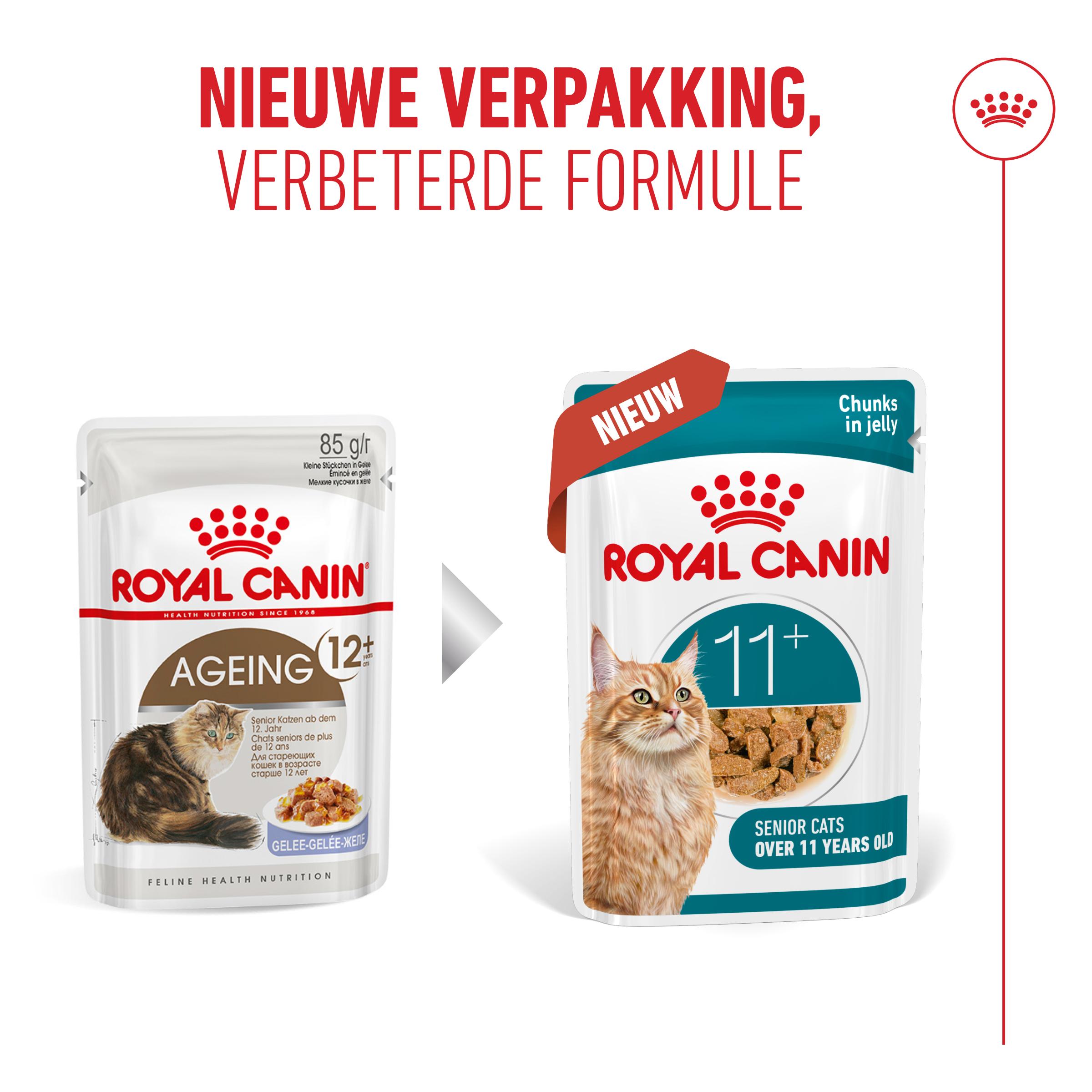 Royal Canin Ageing 11+ in Gelei - Kattenvoer