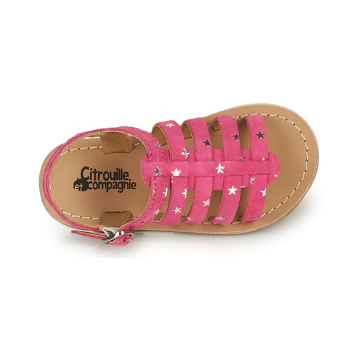Citrouille et Compagnie - MAYANA - Fuchsia