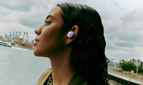 Bose QuietComfort Earbuds Paars