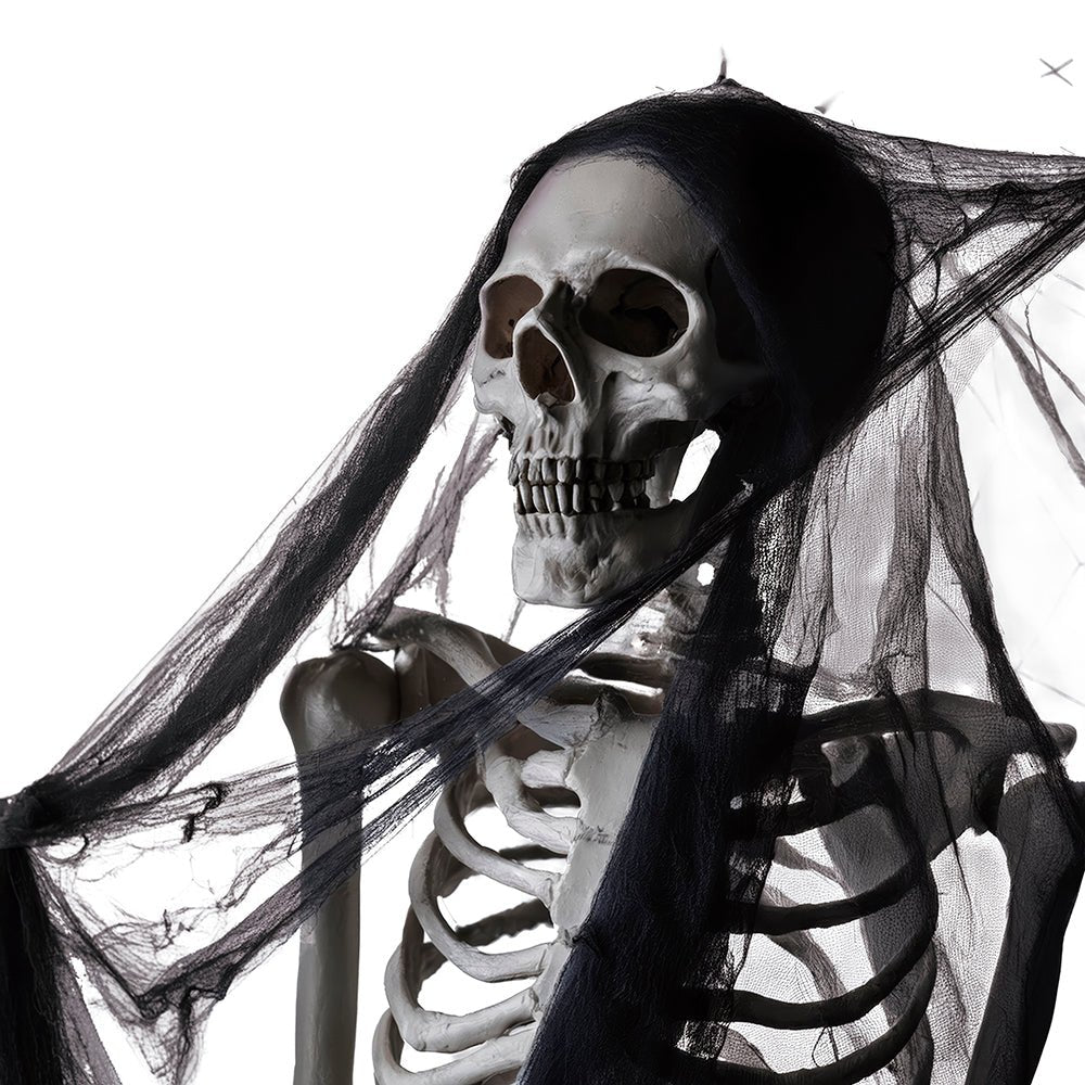 Halloween Hangdecoratie Zwart Spinnenweb 60gr