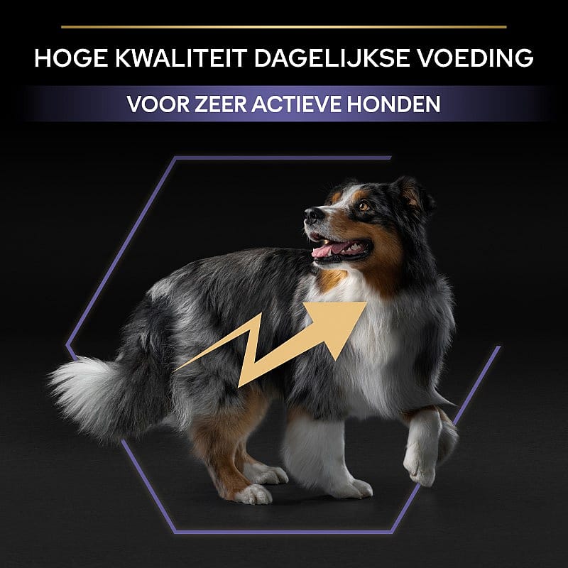 Purina Pro Plan All Sizes Adult Performance Hondenvoer 14 kg | 12831