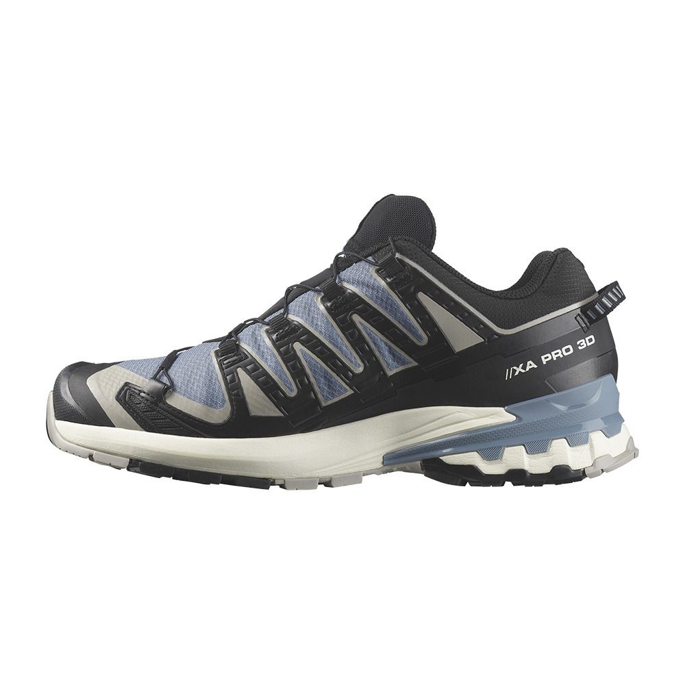Salomon XA PRO 3D V9 GTX - Chaussures trail Homme flint stone/black/ghost gray