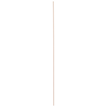 Plank beuken 19x195 mm 250 cm