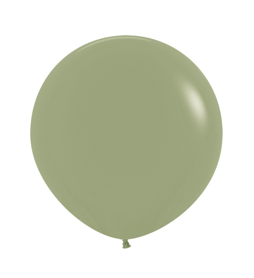 Groene Ballonnen Eucalyptus 61cm 3st