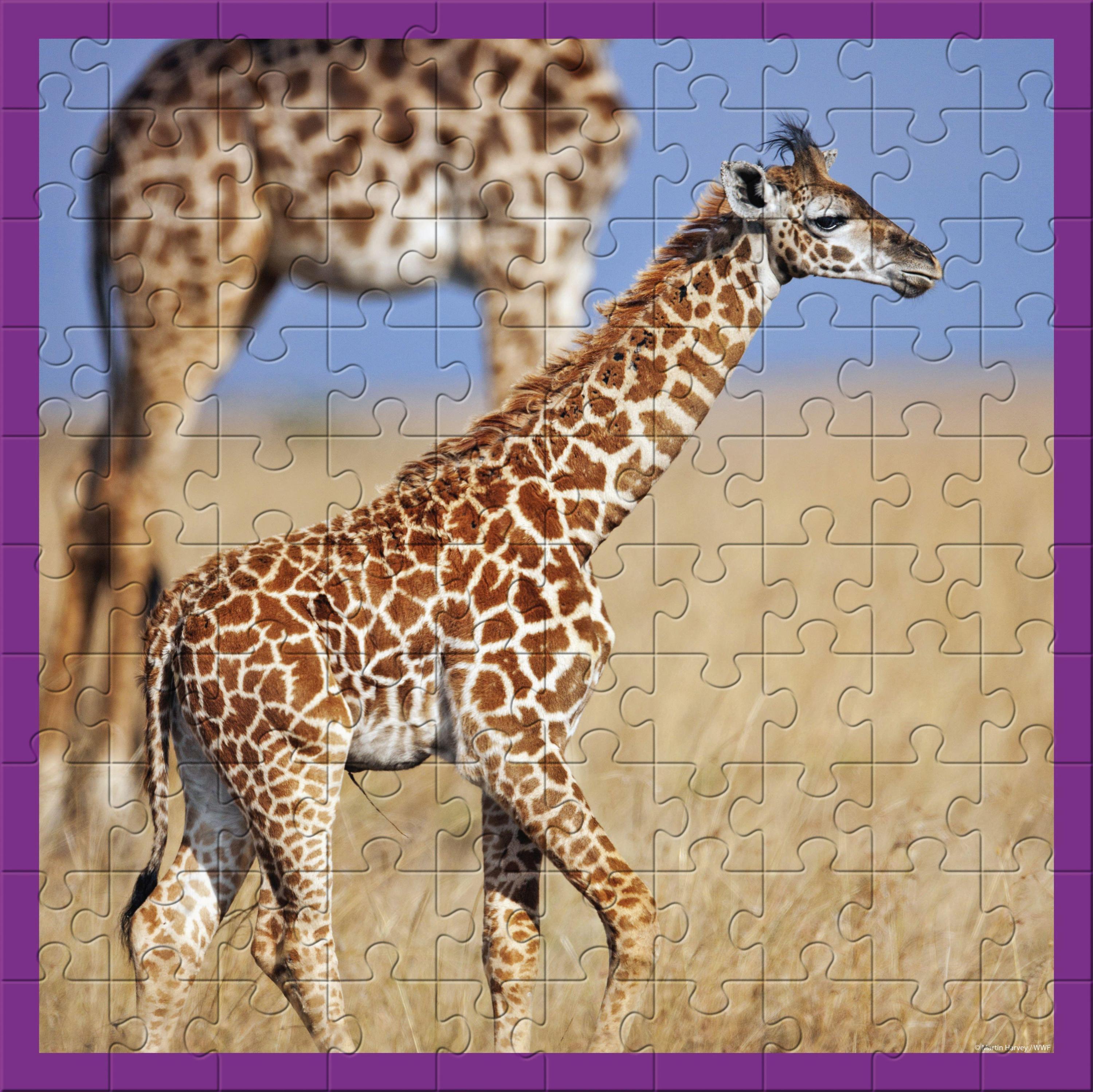 Giraffen 100 Teile (Puzzle)