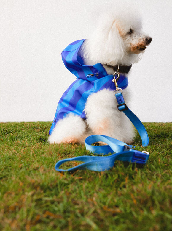 Guia personalizável para cães - Azul
