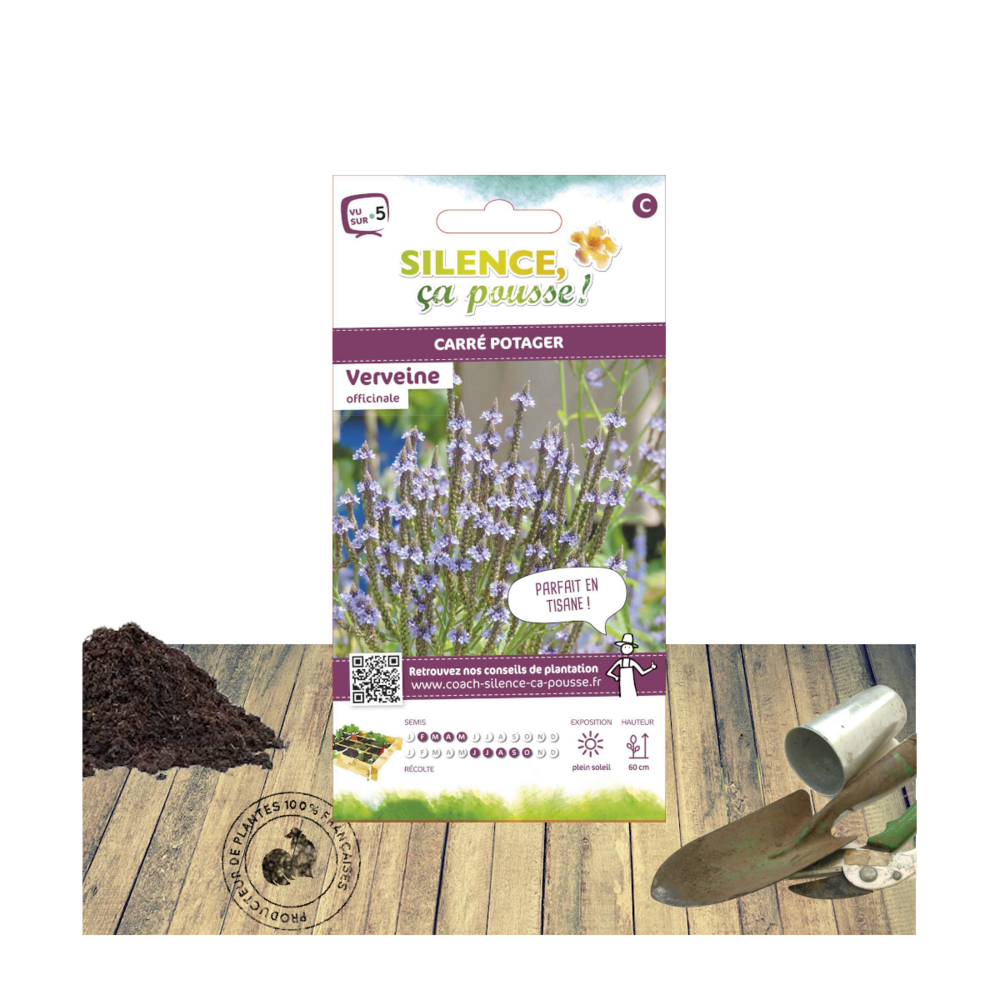 Graines de verveine officinale/verbena officinalis[-]sachet de 0,20 gr.