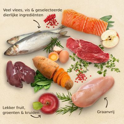 Purizon - Droogvoer - 80% Vlees en Vis - 20% Groenten en Fruit