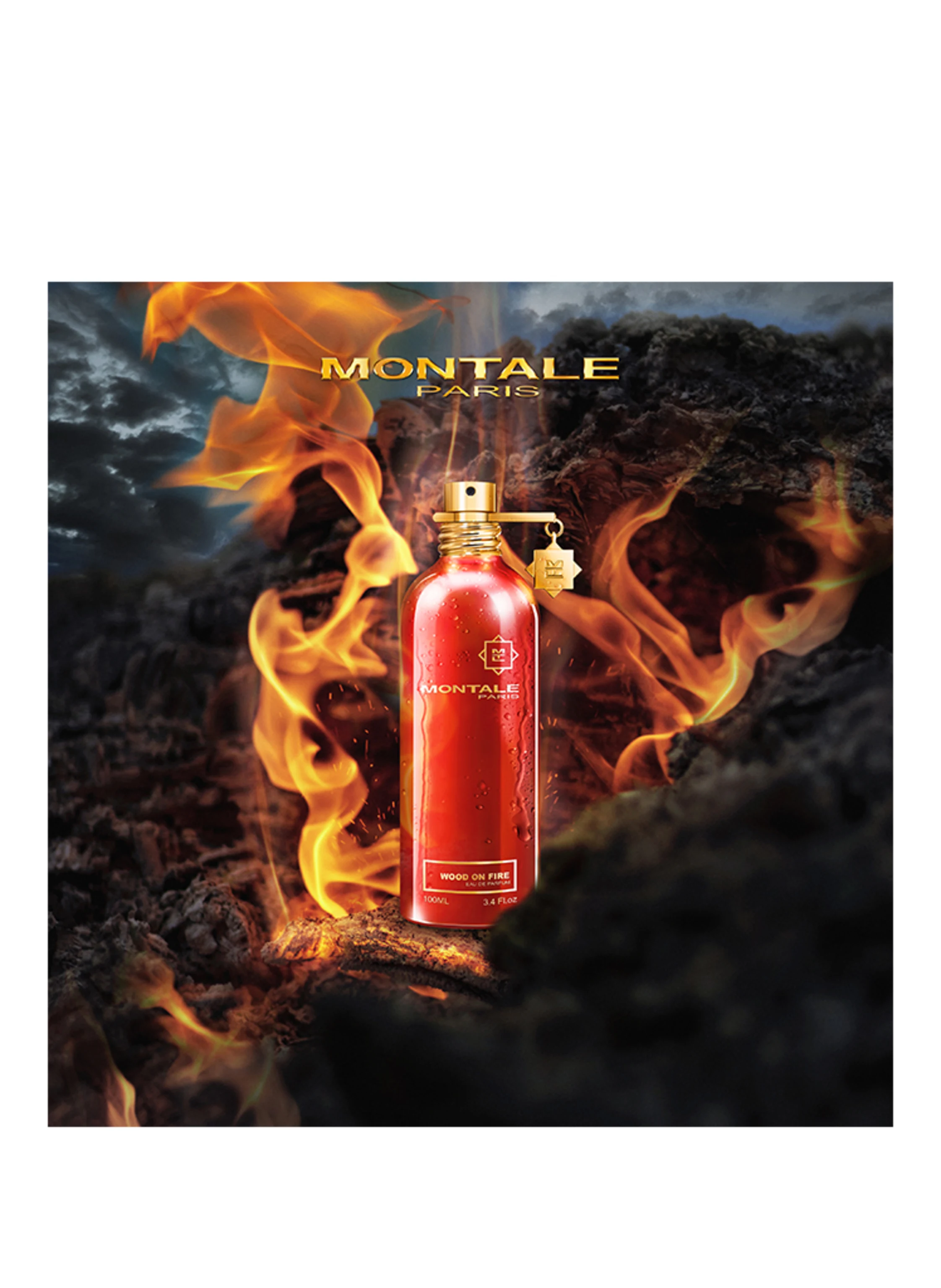 MONTALE WOOD ON FIRE