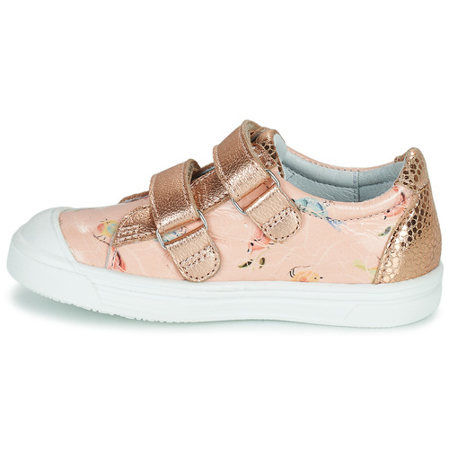 GBB - NOELLA - Rose