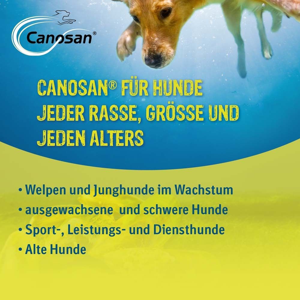 Canosan® Kautabletten für Gelenkgesundheit bei Hunden mit Grünlippmuschel-Extrakt Gonex®