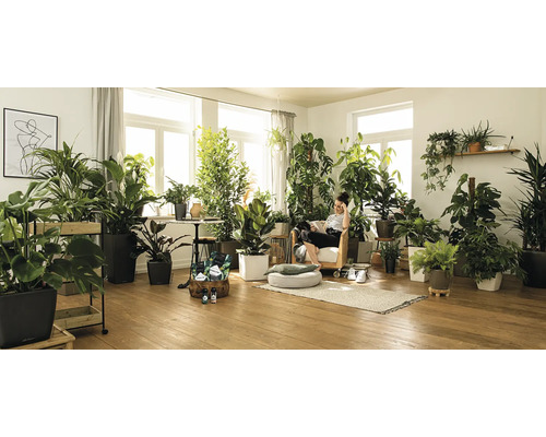 Lechuza Pon plantsubstraat 18 liter