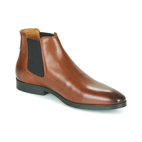 Pellet - BILL - VEAU GOLD