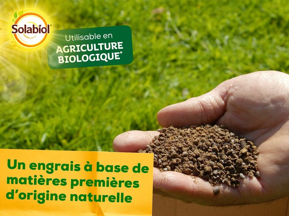 Sogazplus35 | engrais gazon plus | etui 3,5kg | nutrition longue durée
