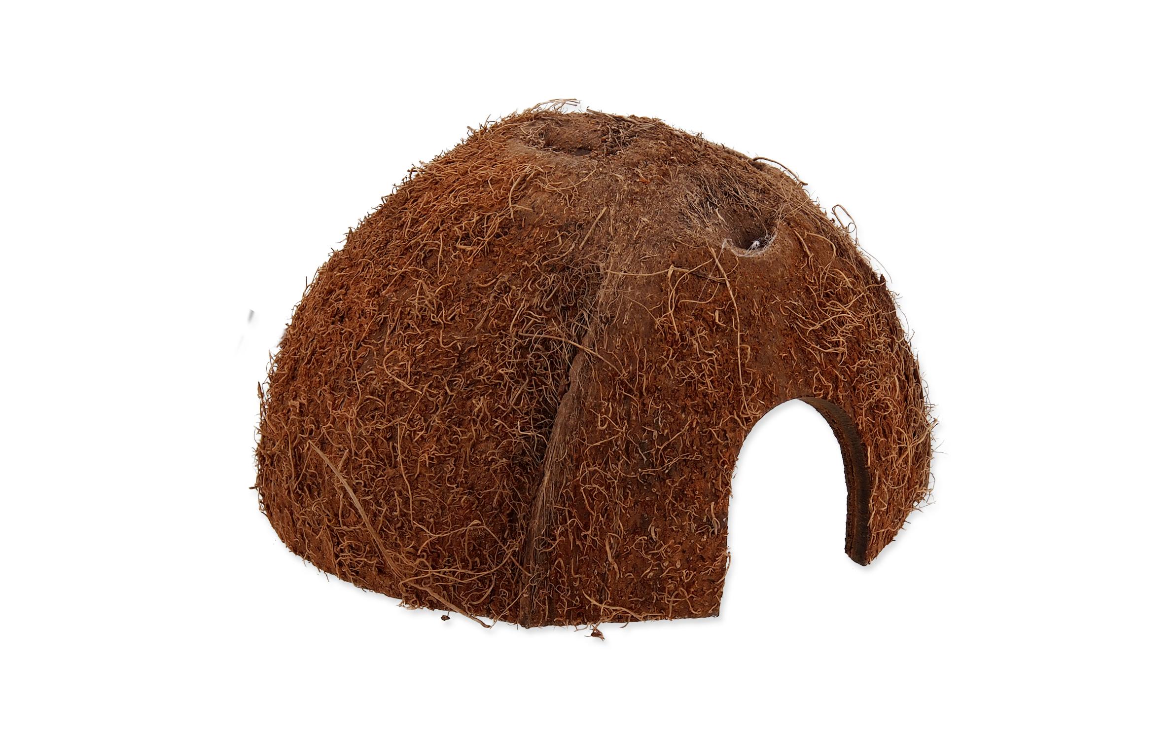 Coco Schale MKokosnussschale