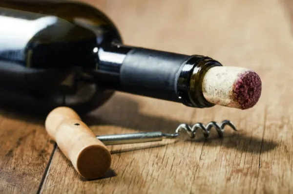 Caso WineComfort 38, Vin køleboks, Fritstående, 38 flaske(r), 60 W, G, Rustfrit stål