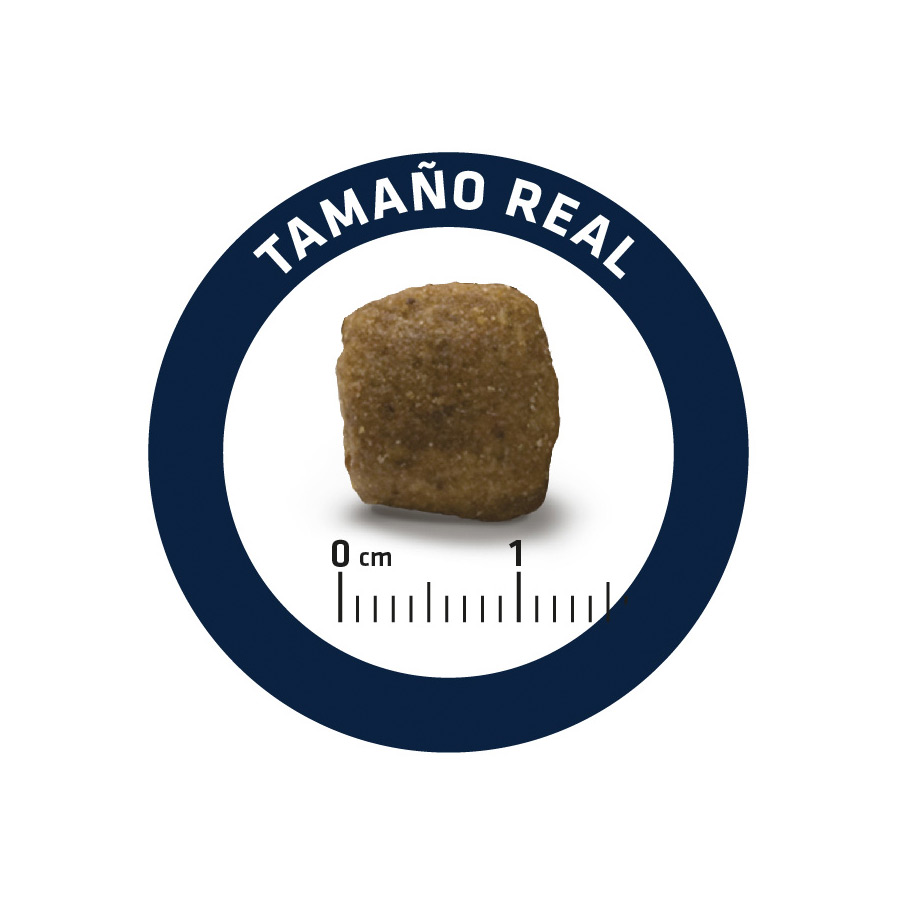 kg de ração Advance Veterinary Diets Articular com calorias reduzidas para cães