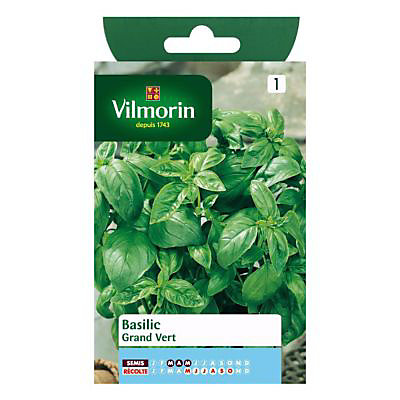 Graines de Basilic Grand Vert