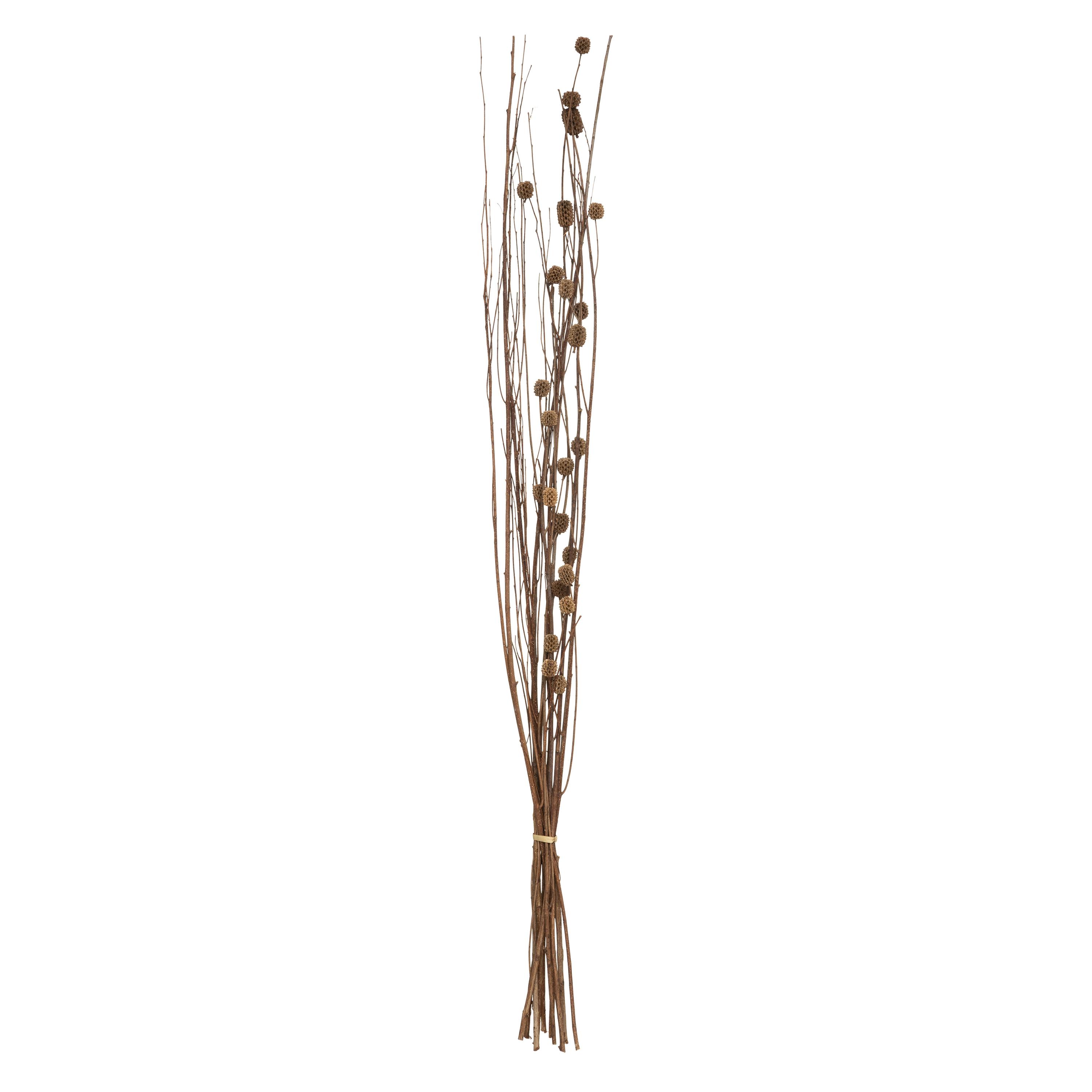 SECHE NATUREL H.100CM