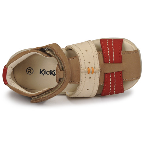 Kickers - BIGBAZAR-2 - Marron / Beige / Bordeaux