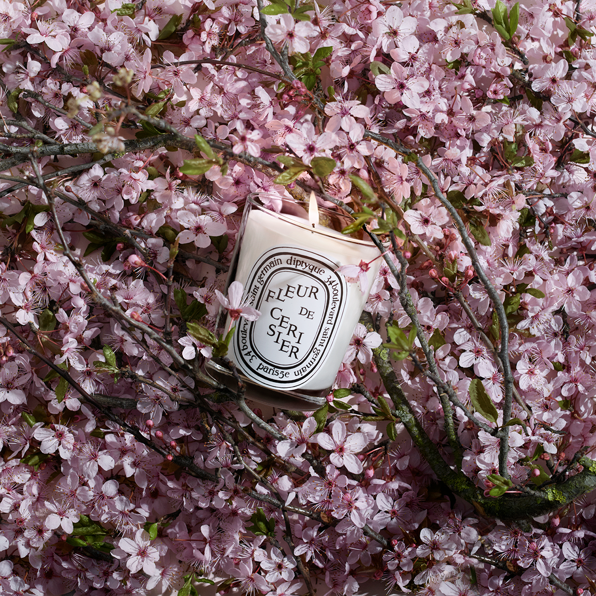 Scented Candle Fleur de Cerisier 190gr