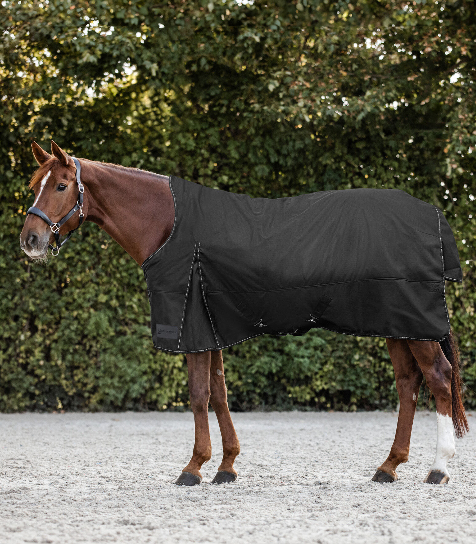Waldhausen Nordic Hoge nek 200 gr - Winterdeken - Paardendeken - Zwart - 125/175