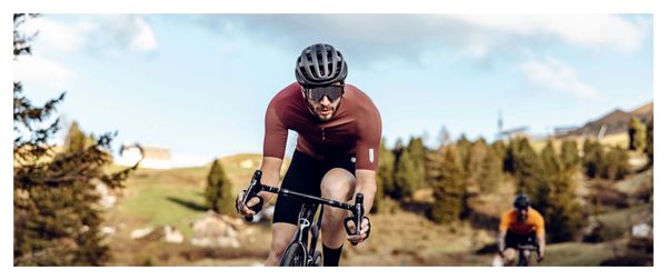 Maillot Manches Courtes Q36.5 Pinstripe PRO Marron