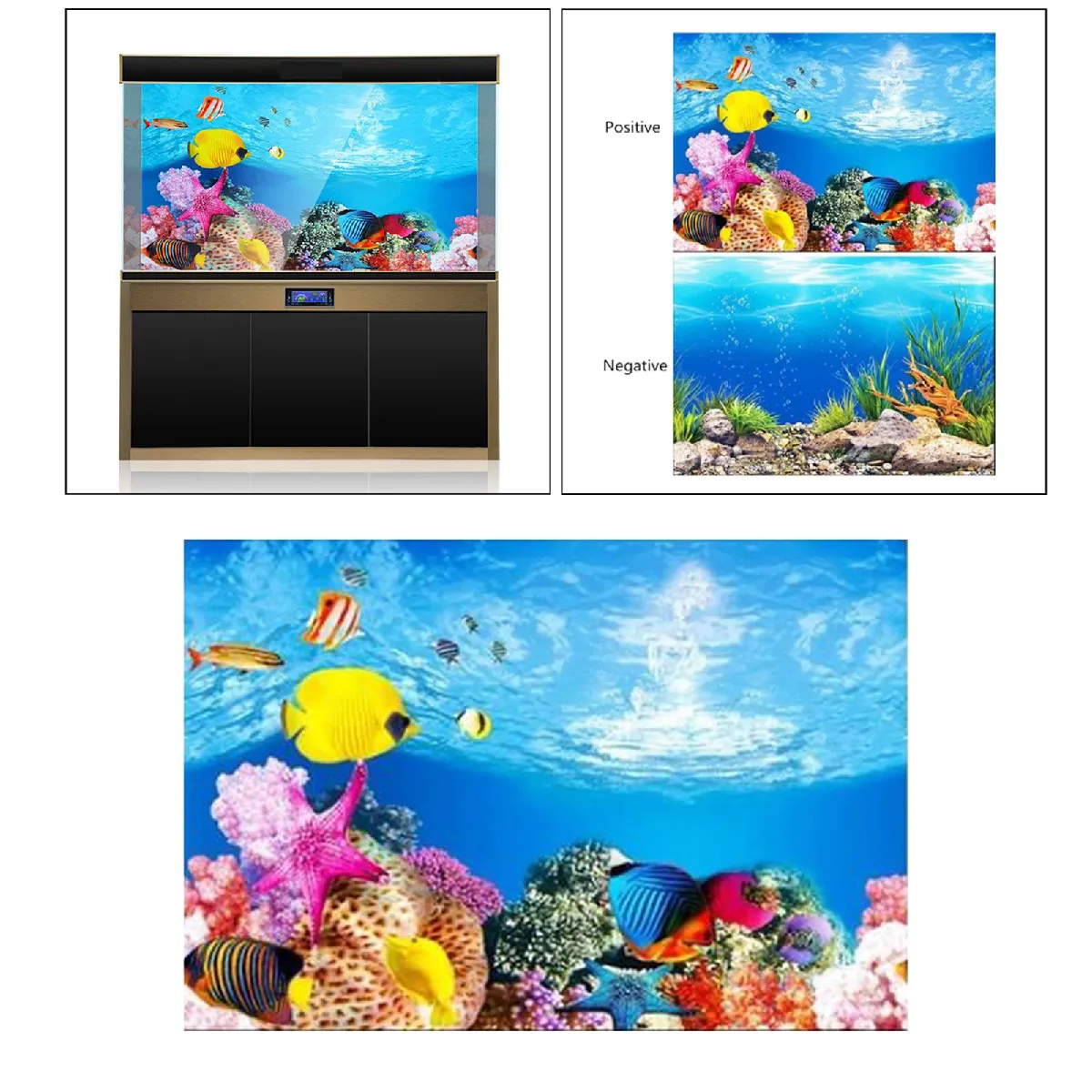 Affiche de fond d'aquarium 30x52cm