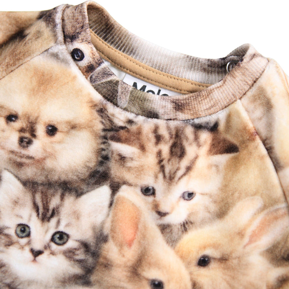 Køb Molo Fuzzy Fluffy Disc Sweatshirt